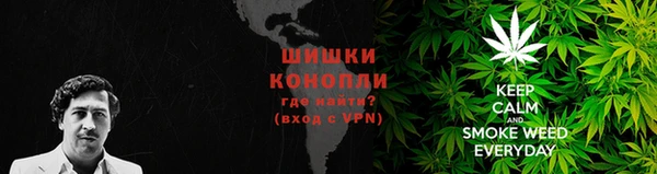 PSILOCYBIN Михайловск