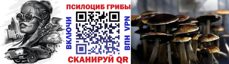 Псилоцибиновые грибы ЛСД  купить наркоту  Юрюзань 